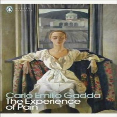 The Experience of Pain by Carlo Emilio Gadda Paperback Book 9780241706992
