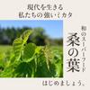 Wakuwakuen Zielona Herbata Morwowa w Torebkach (60 torebek herbaty) Wyprodukowano w Japonii, Herbata z proszku z liści morwy, Zielona herbata, Torebki herbaty, Bez kofeiny, Organiczna,