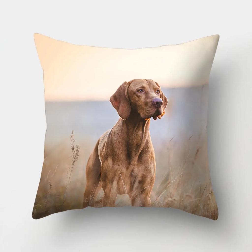 1 Stuk Hond Patroon Kussenhoes Sofa Huisdecoratie Auto Kantoorbenodigdheden Buitenkussen