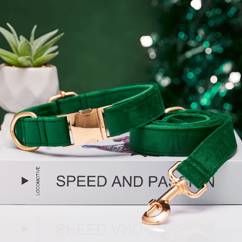 Ensemble collier et laisse pour chien en velours gravé avec boucle métallique réglable