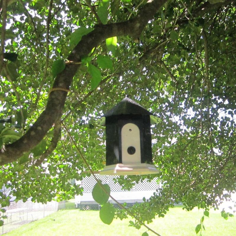 Pet Dog Barking Prevention Training Control System, Outdoor Durable Waterproof Ultrasonic Control