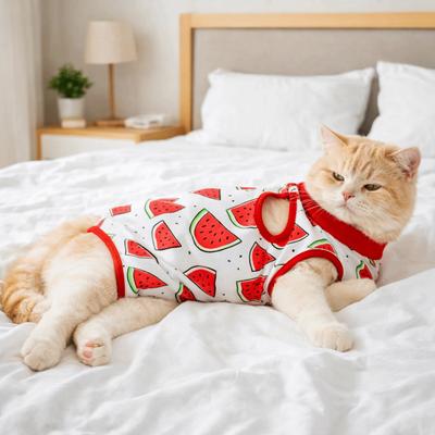 Gatos – Roupa para gatos