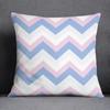 Pink Fresh Collection Pillow Gift Home Office Decoration  Bedroom Sofa Car Cushion Cover case