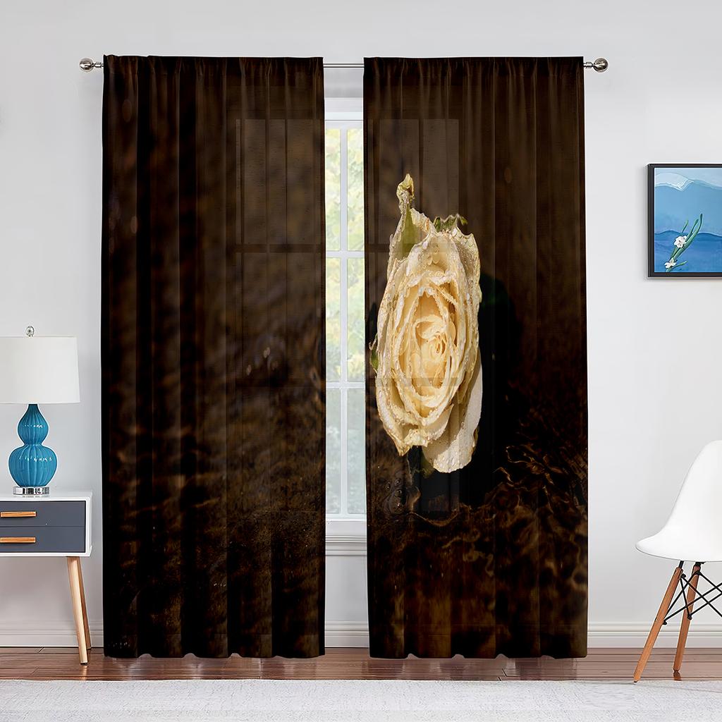 Bliski widok czerwonej róży kwitnącej przezroczyste zasłony okienne do sypialni salonu walentynkowe romantyczne kwiatowe szyfonowe tiulowe woalowe zasłony