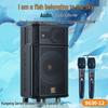 Songchuan Kunpeng SG30-12 Portable Outdoor Karaoke Speaker CN Plug (adapter Included) (CN Version)