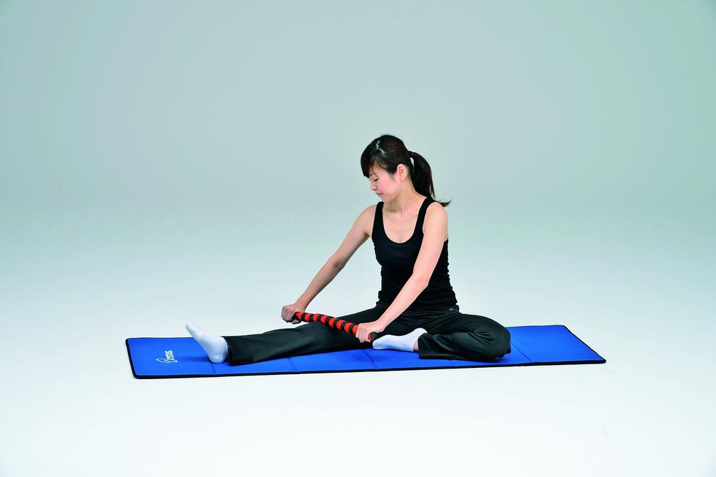 TOEI LIGHT Massagestab-Roller H7253