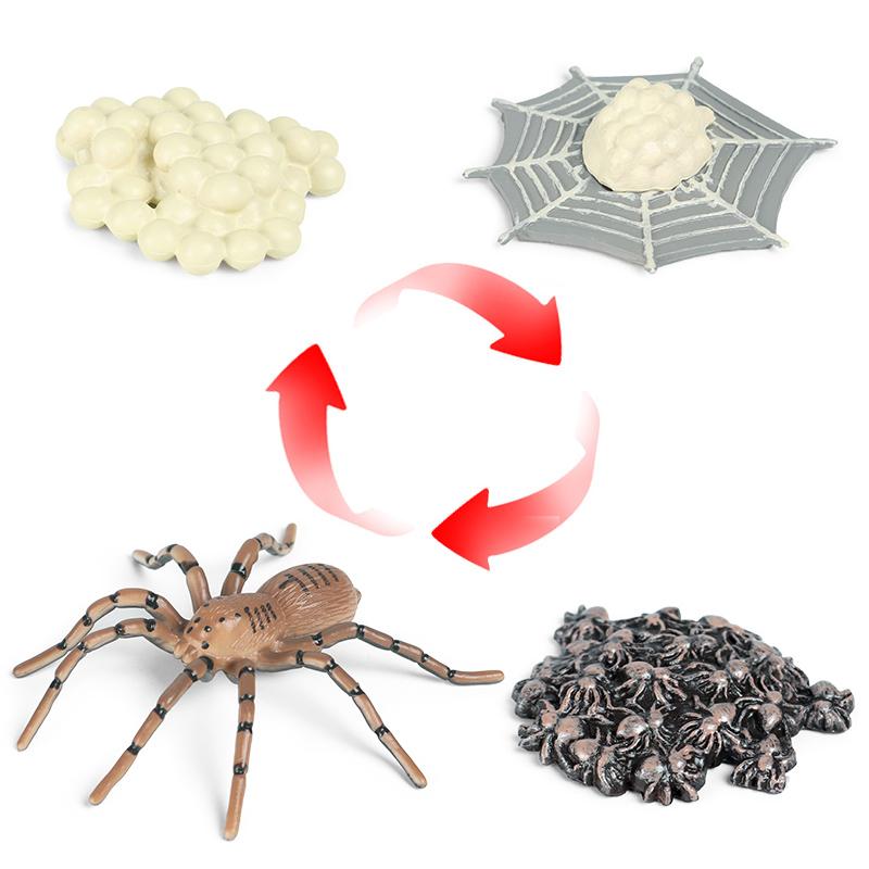 Oenux Insekten Tiere Modell Spinnennetz Skorpion Fledermaus Actionfiguren Figur Miniatur Niedlich Pädagogisch Kinder Spielzeug Halloween Geschenk
