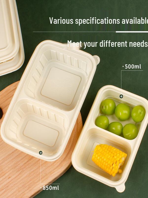 ZISIZ 2-Compartment Biodegradable Microwave Lunch Box
