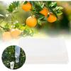 Envelop Pollination Bag Parchment Bag Garden Pollination Bag Vegetable Garden for Home Household(16x10cm (100PCS))