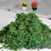 50/100/500g Artificial Moss Simulation Fake Green Plant Landscape Decorative DIY