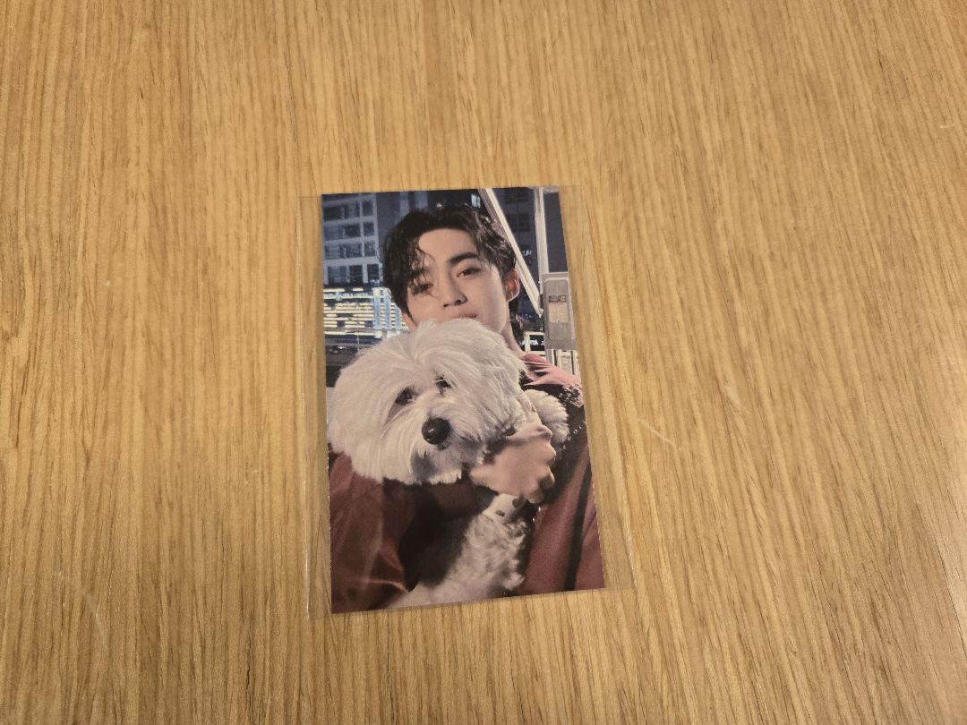 

[USED] SEVENTEEN FML venue limited trading card S.Coups