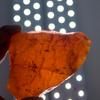 Earth Natural Orange Sapphire Rough Dyed Raw 1815.2 Ct Loose Gemstone