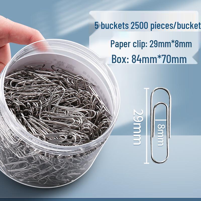 Ally Large Silver Stainless Steel Paper Clips