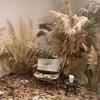 Large Dried Pampas Reed for Decoration in Clothing Stores, Windows, or Weddings