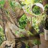 Tropical Rainforest Cheetah Jungle Leopard Green Sheer Curtains for Living Room Bedroom Decor Window Voile Tulle Curtain Drapes