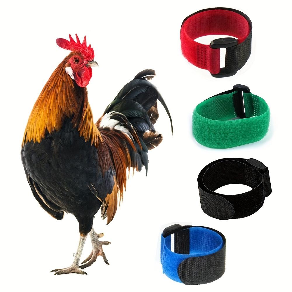 Collar para Pollo Silencioso Cómodo de 1 Pieza, Rojo, Azul y Verde - Collar de Cuello Duradero y Ajustable, para Mantener a los Pollos Más Tranquilos