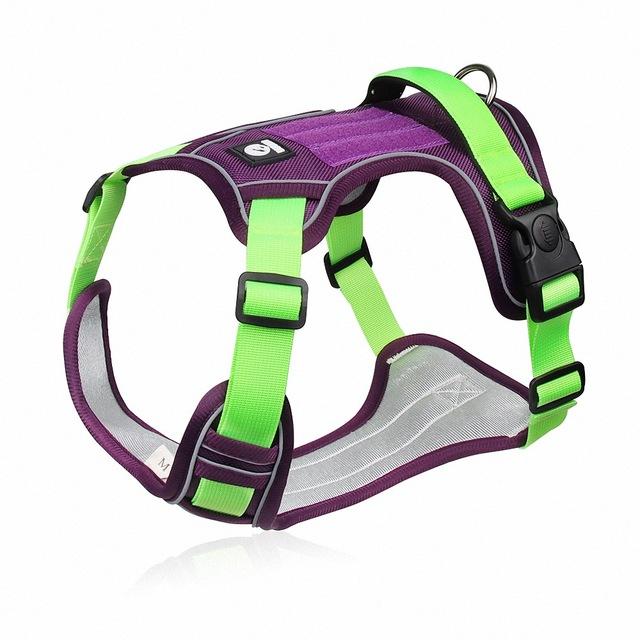 Dog Harness Vest Walking and Training Pet  Rope Harness and Leash Set Adjustable Dogs Collar Harness No Pull for French Bulldog
