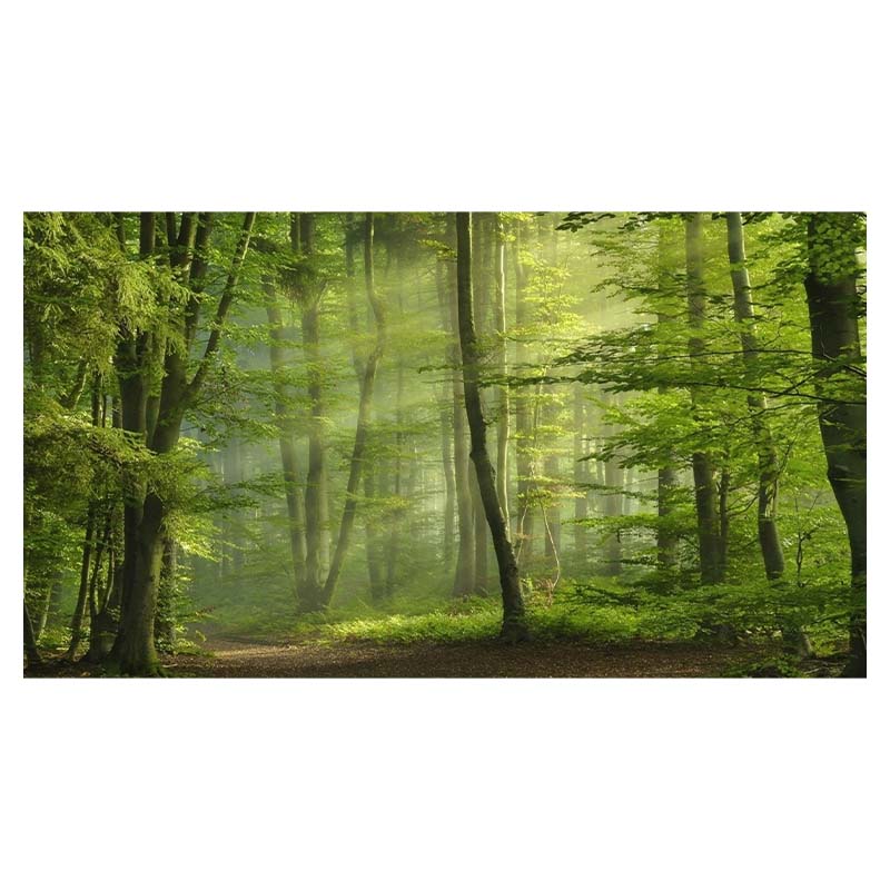 Водопад Живописный Мангровый Лес Пейзаж Холст Настенное Искусство Холст Картины Домашний — фото 21