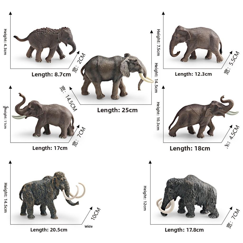 Animal Wildlife Model Toy For Kids Educational Decor And Collectors