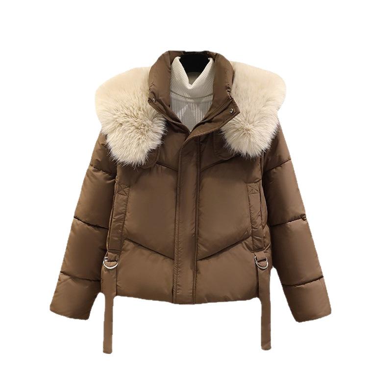Winter black cotton-padded jacket , small man, new style, fashionable, big fur collar, short cotton-padded jacket in stock.