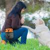 Verstellbare Hund-Hüfttasche Hund-Leckerli-Halter Für Verschiedene Outdoor-Aktivitäten