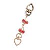 Cherry Purse Chain Extender Extension Chain Adjustable Strap for Women Fashionable Bag Accessory with Alloy Clasps