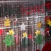 Solid Color Crystal Beads String Curtain Shiny Tassel Window Curtain Retro Door Curtain  Home Decor