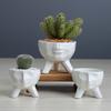 Simple And Creative White Succulent Flower Pot, Home Gardening Plant Ceramic Flower Pot Container