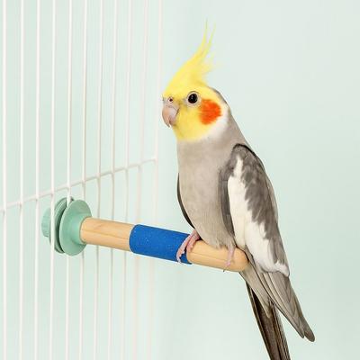 Kuş – Kuşlar için oyuncaklar