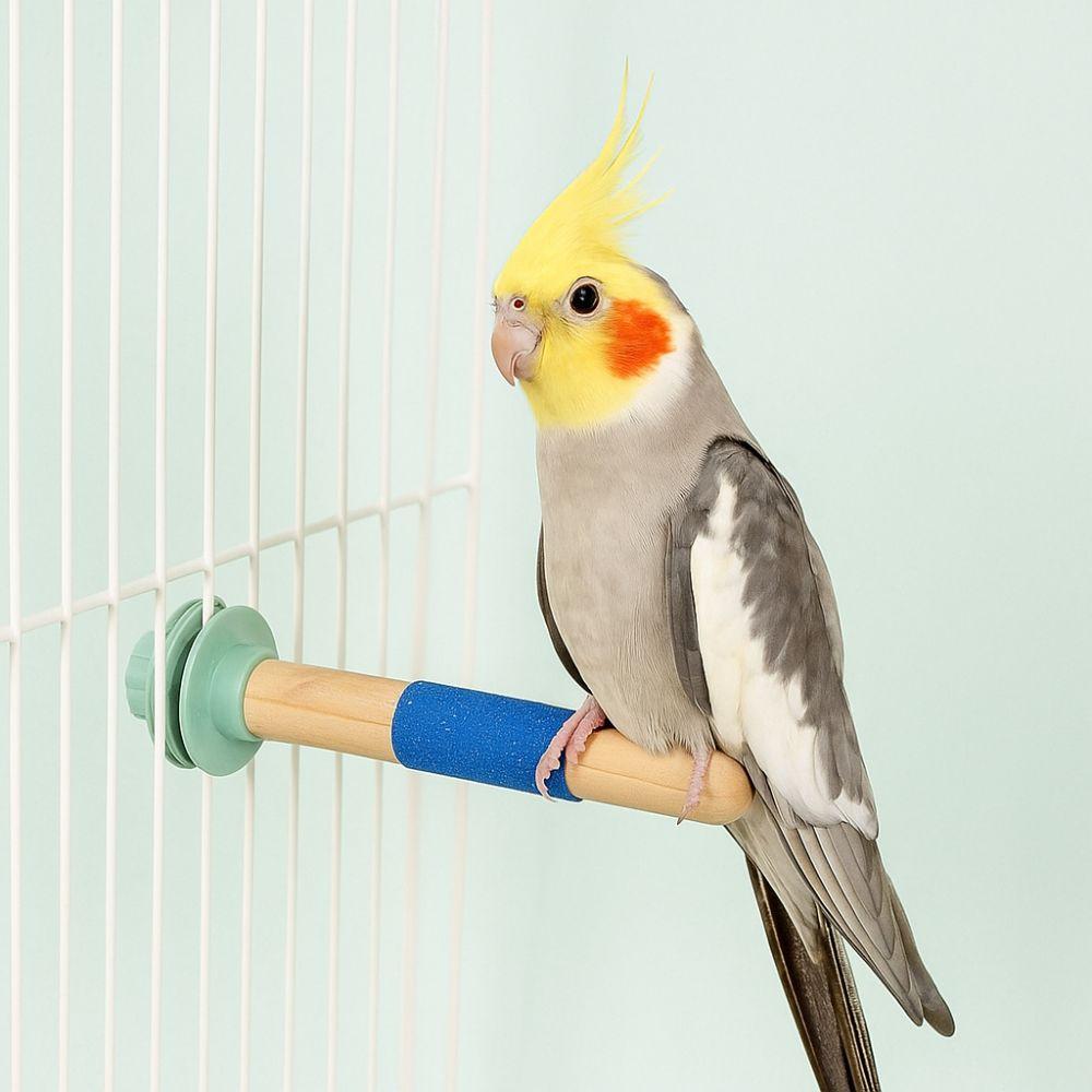 Bite Resistant Parrot Standing Pole Wear Resistant Bird Claw Grinding Rod Claw Maintenance