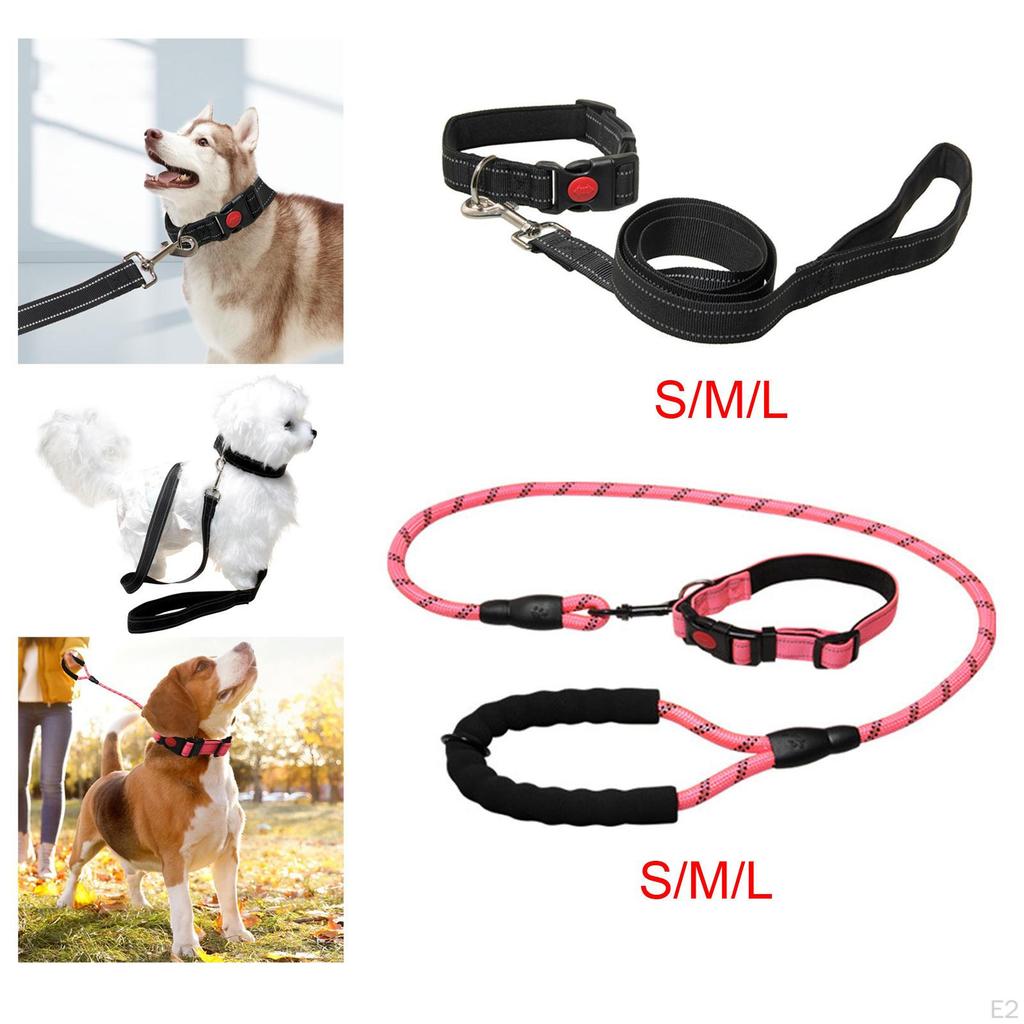 Dog Leash for