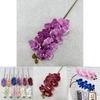 Simulated Phalaenopsis Plant Wedding Hotel Restaurant Decoration Props Ornament