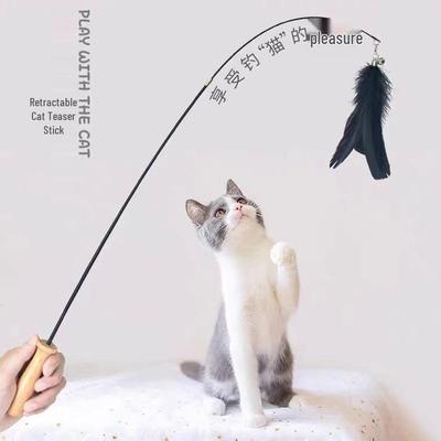 Kedi – Kedi Oyuncakları