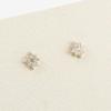 Women's Star-Shaped Date Fashion Earrings