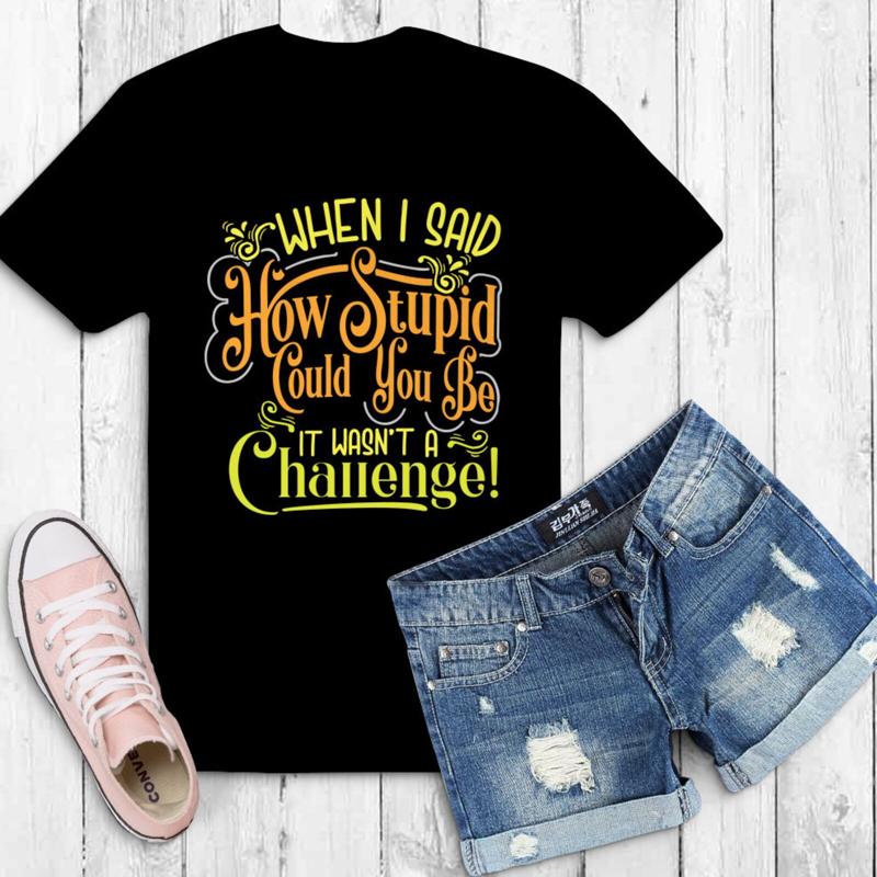 When I Said How Stupid Can You Be It Wasnt A Challenge T Shirt 32