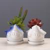 Creative New Succulent Flower Pot Ceramic, Gardening Cartoon Dolphin Animal Flower Pot