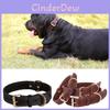 Retro-Rindsleder-Haustierhalsband mit Kupferschnalle für Hunde großer Rassen