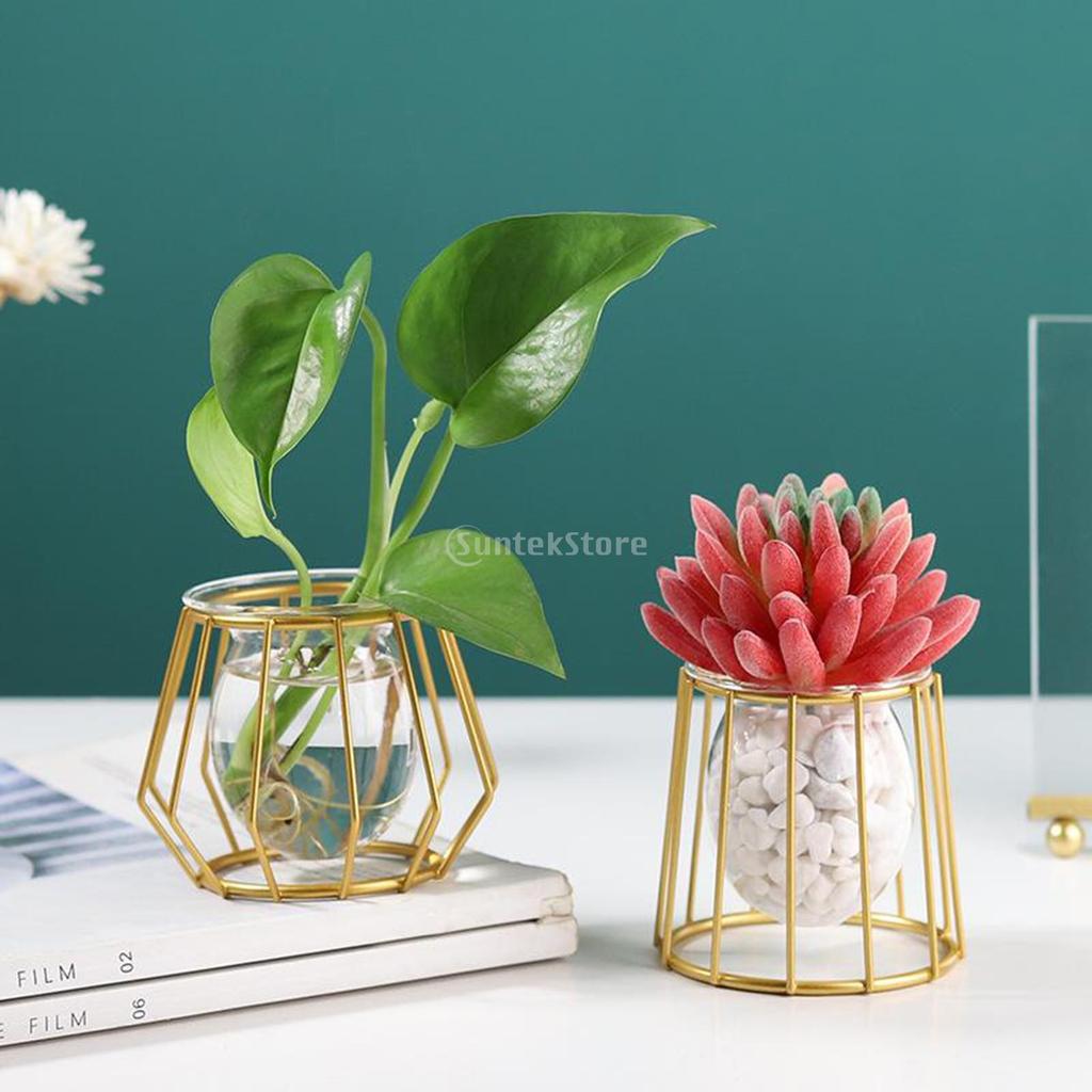Metal Wire 3D Geometric Hydroponics Vase Holder Watering Planter Flower Pots Test Tube Vase Plants Home Desktop Table Decor