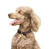 Weatherbeeta Polo Leather Dog Collar
