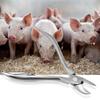 Stainless Steel Piglets Teeth Clipper Teeth Cutter Tooth Forceps