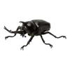 Ornament Twisted Egg Insect Mini Beetle Unicorus Dynastes Simulation Animal Model Collection Desktop Ornament FIGURE PLAYTHINGS