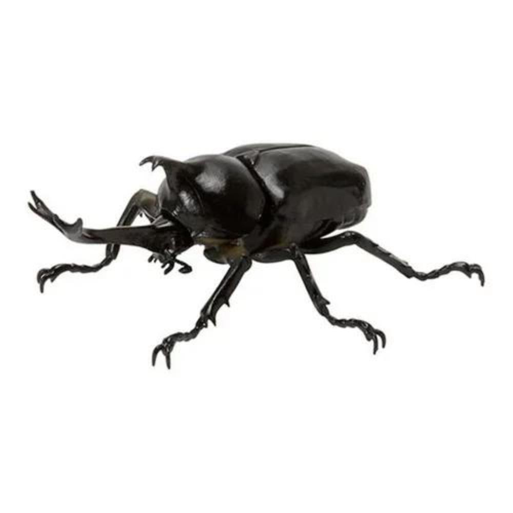Ornament Twisted Egg Insect Mini Beetle Unicorus Dynastes Simulation Animal Model Collection Desktop Ornament FIGURE PLAYTHINGS