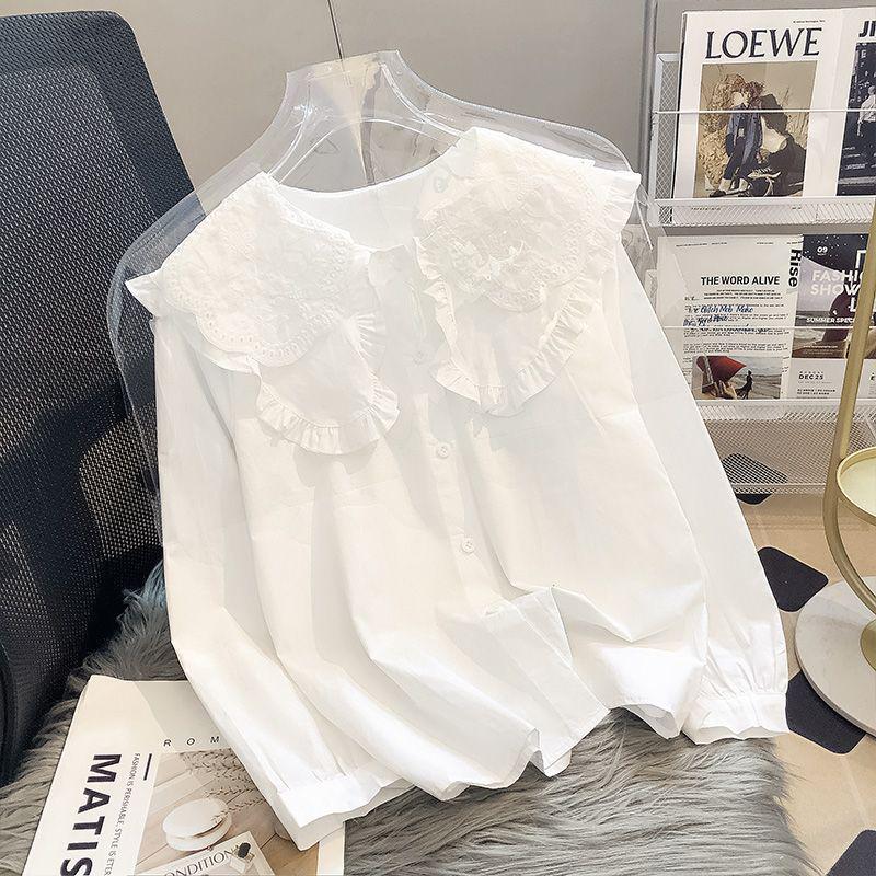 Women's Lace Peter Pan Collar White Blouse, Korean Style, Long Sleeve, Autumn/Spring 2023