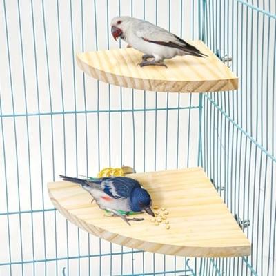 Plataforma de Poleiro para Pássaros em Material de Madeira Formato de Leque Poleiros Planos Suporte de Madeira Tamanhos Variados Poleiro para Papagaio Canto Habitat para Animais de Estimação