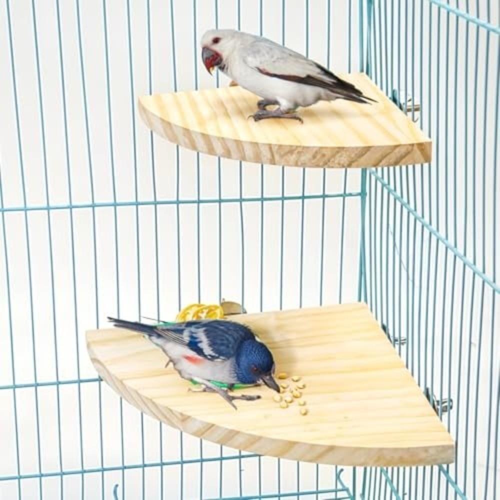 high quality Wooden Material Bird Perch Platform Assorted Sizes Fan Shape Wooden Stand Flat Perches Corner Shelf Pet Habitat