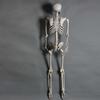 Halloween Skelett Ornament 65 Zoll Ganzkörper Bewegliche Gelenke Skelette Lebensechtes Modell für