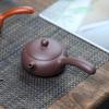 Tangyu Zisha Side Handle Xishi Teapot - Original Yixing Clay Kung Fu Teaware