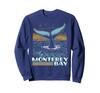 Monterey Bay Whale Fluke California Trainer