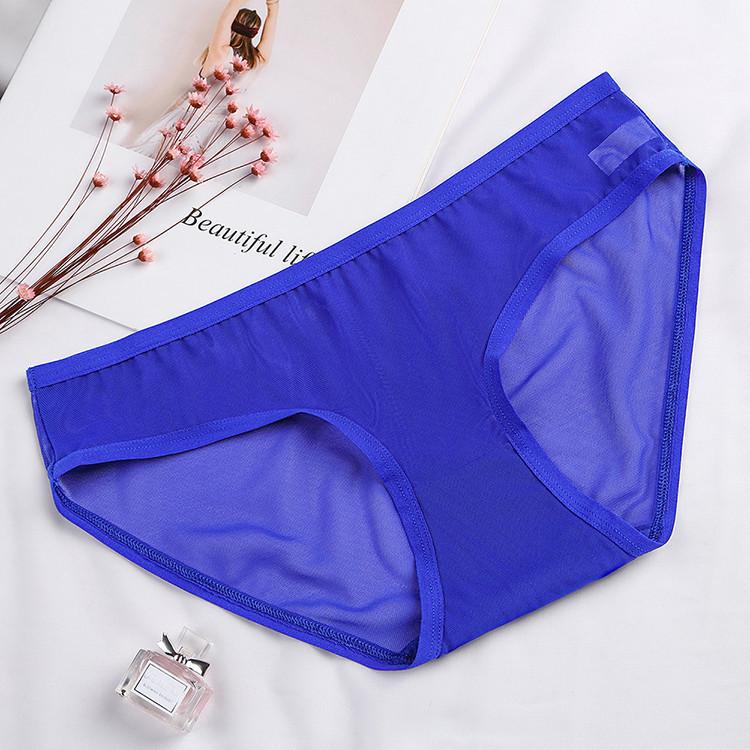 Transparentní síťované kalhotky s nízkým pasem Sexy spodní prádlo Roztomilé dámské kalhotky