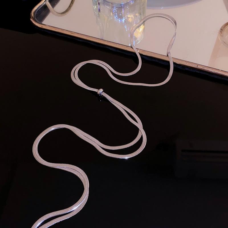 Snake bone chain adjustable necklace fashionable exaggerated collarbone chain cold wind neck chain